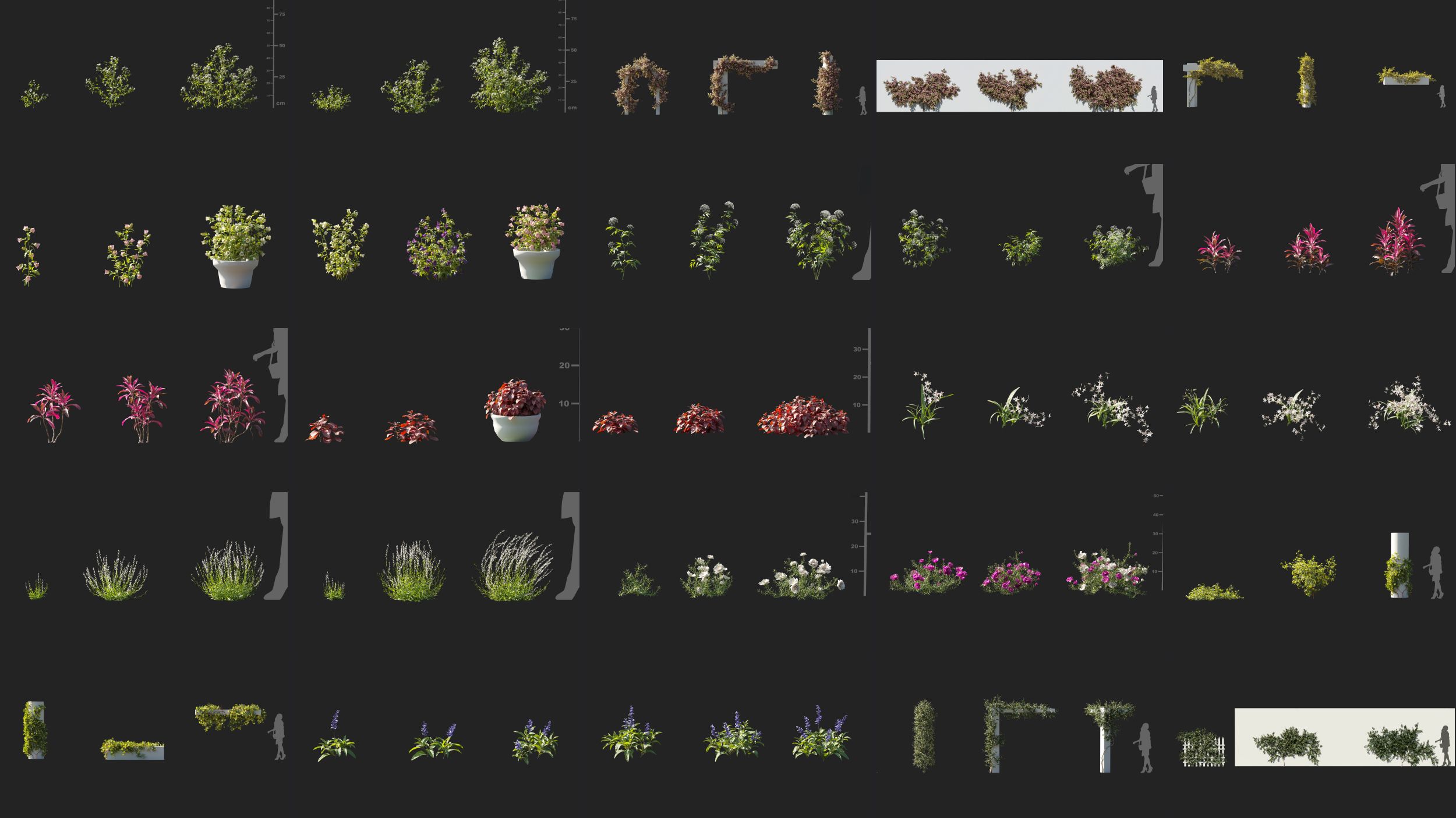 3D模型|75组高质量小草鲜花植物模型 Maxtree – Plant Models Vol 105 (3DS MAX/FBX格式)