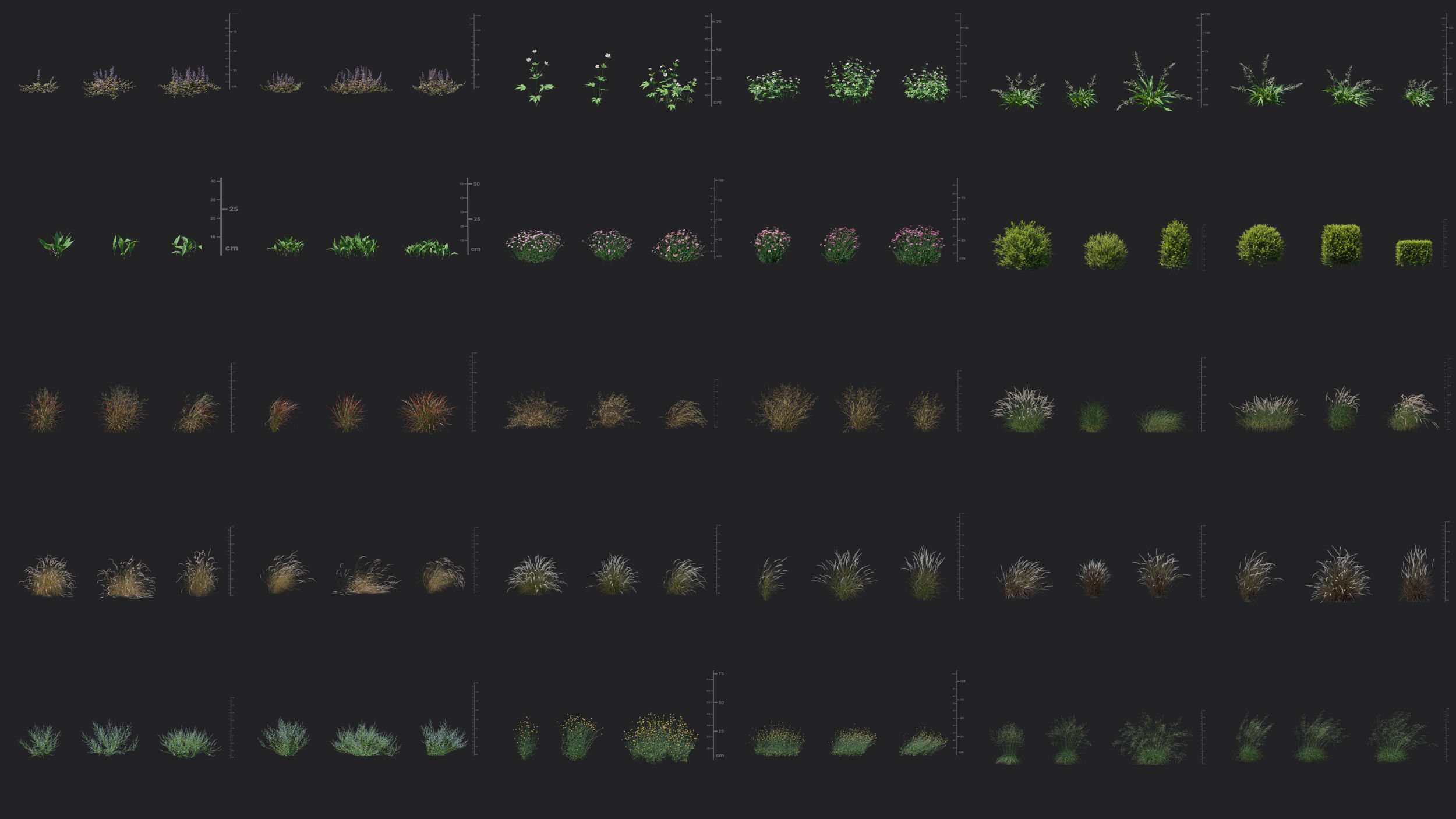 湿地观赏花草植物3D模型 Maxtree – Plant Models Vol. 49 MT-PM-V49-Previews-2500.jpg