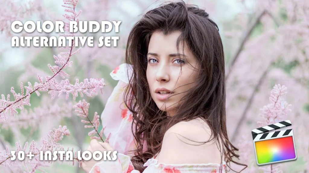 Color-Buddy-Insta-Looks-Final-Cut-Pro-1024x576.webp