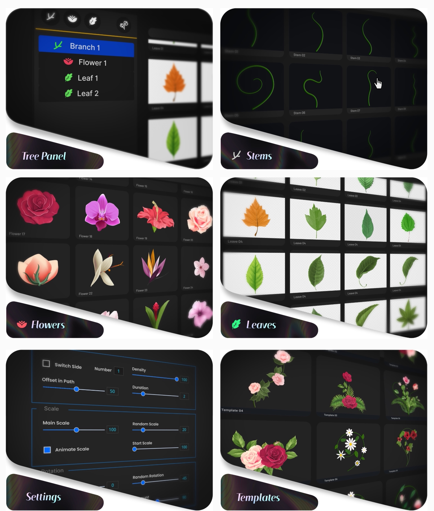 AE脚本|一键花朵生长动画制作工具 Flowers Bloom V1.1.2 + 使用教程