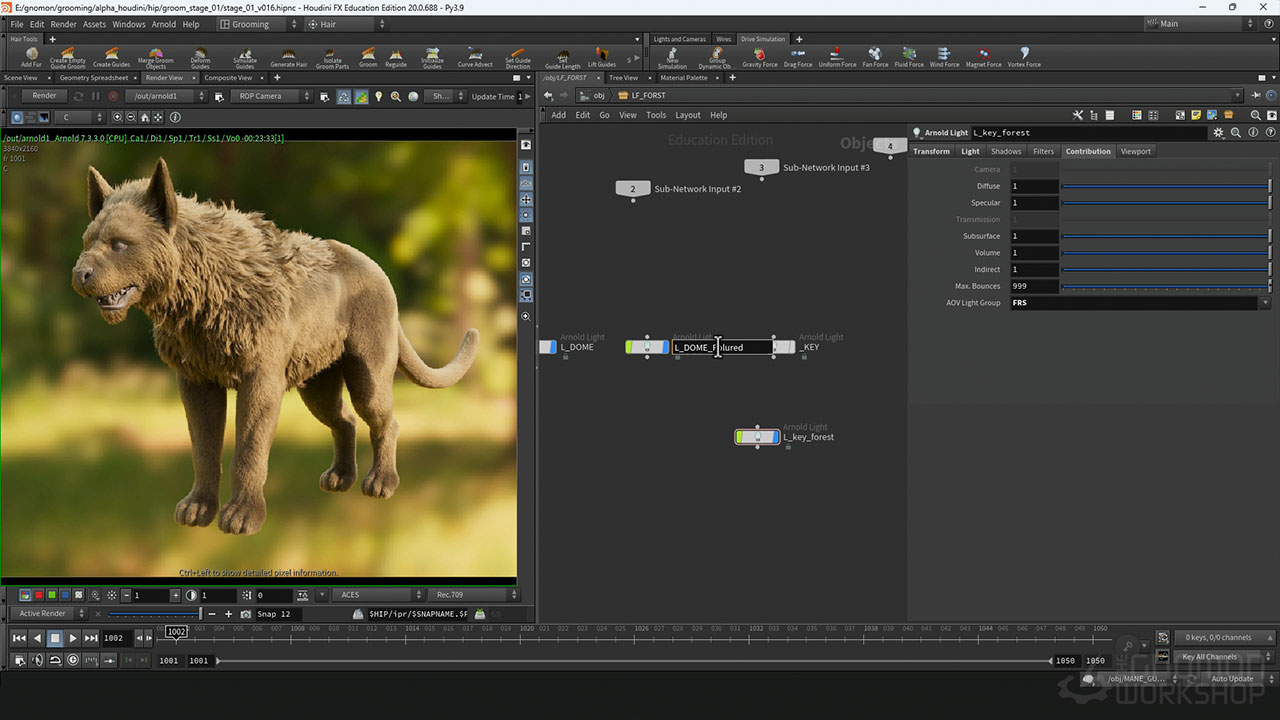 中英文字幕-Houdini动物毛发模拟阿诺德渲染教程 Fantasy Creature Grooming in Houdini 10004.jpg