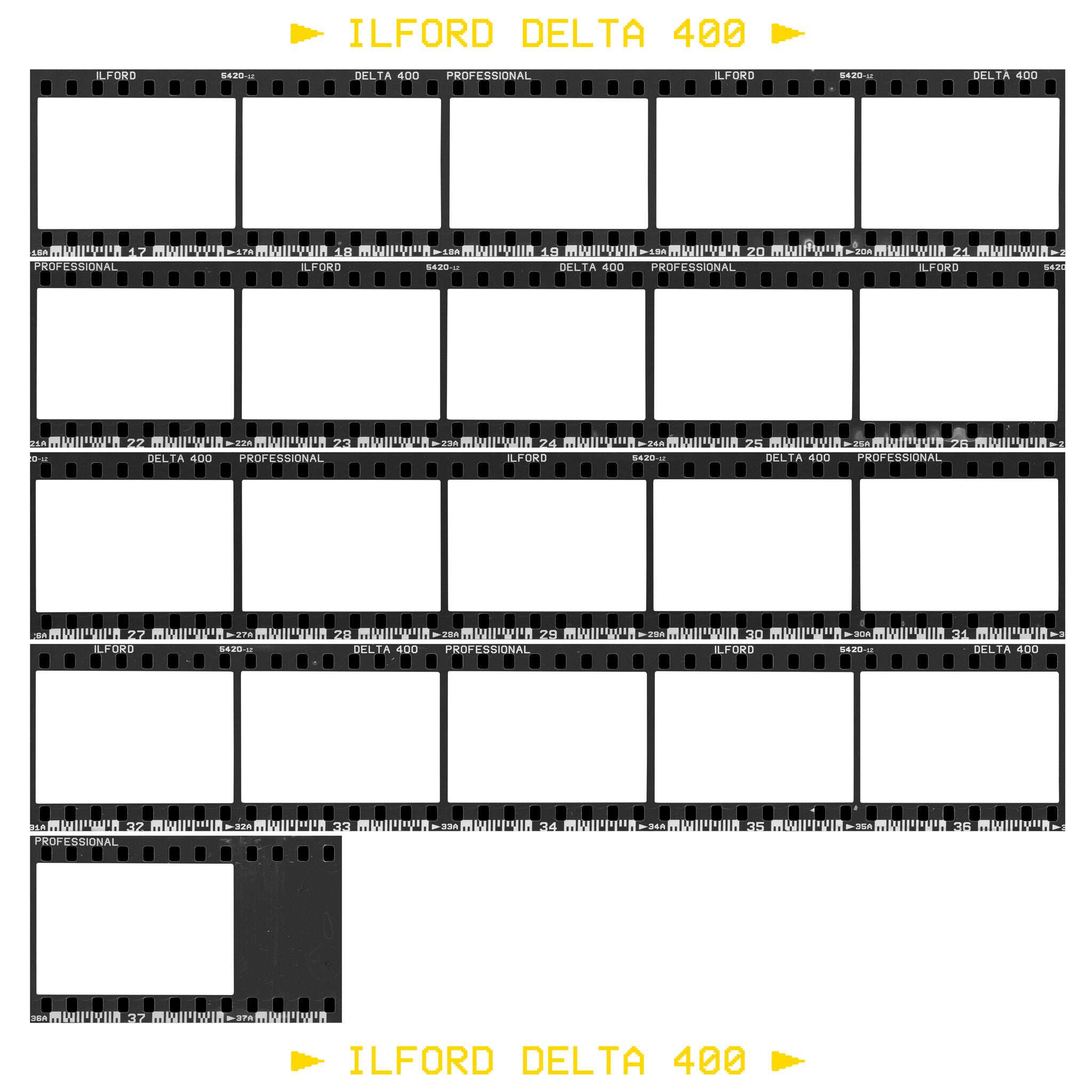 157a6abb-6c06-420c-9999-c04d937324e7.jpg