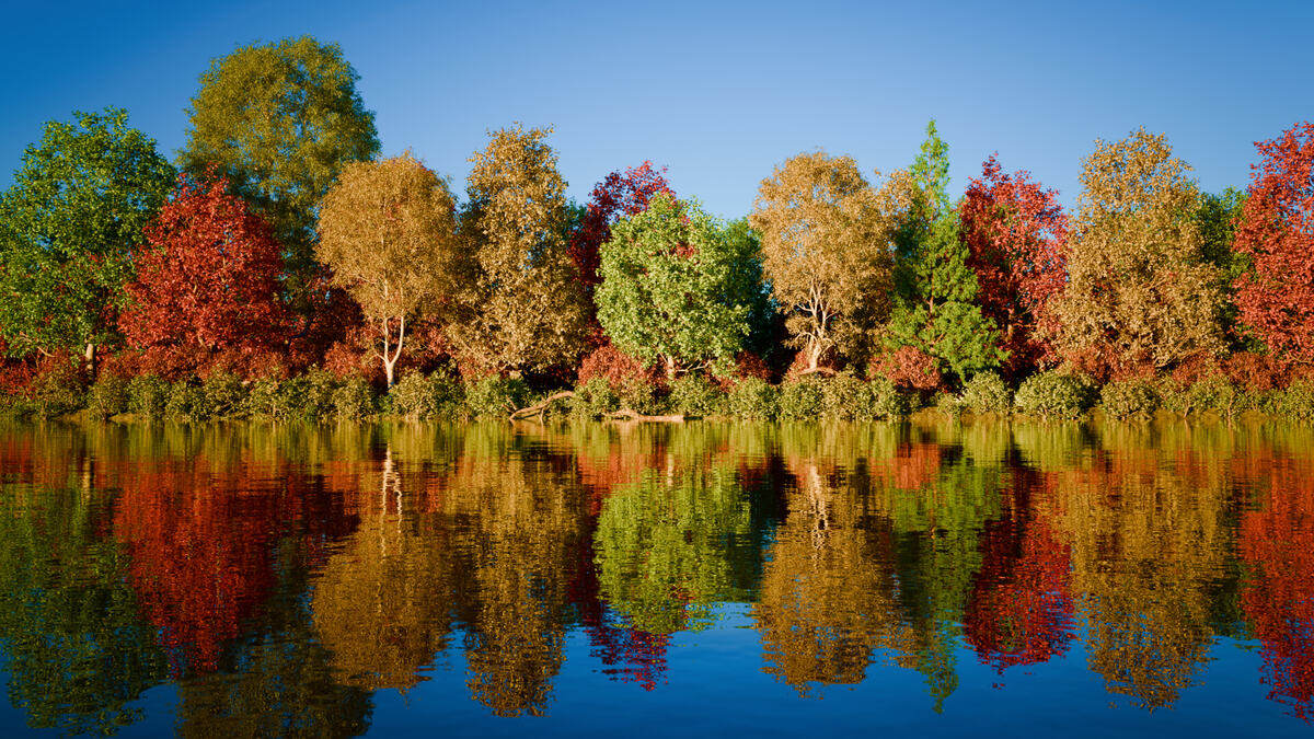 image_processing20250401-2-it7v0q.jpg
