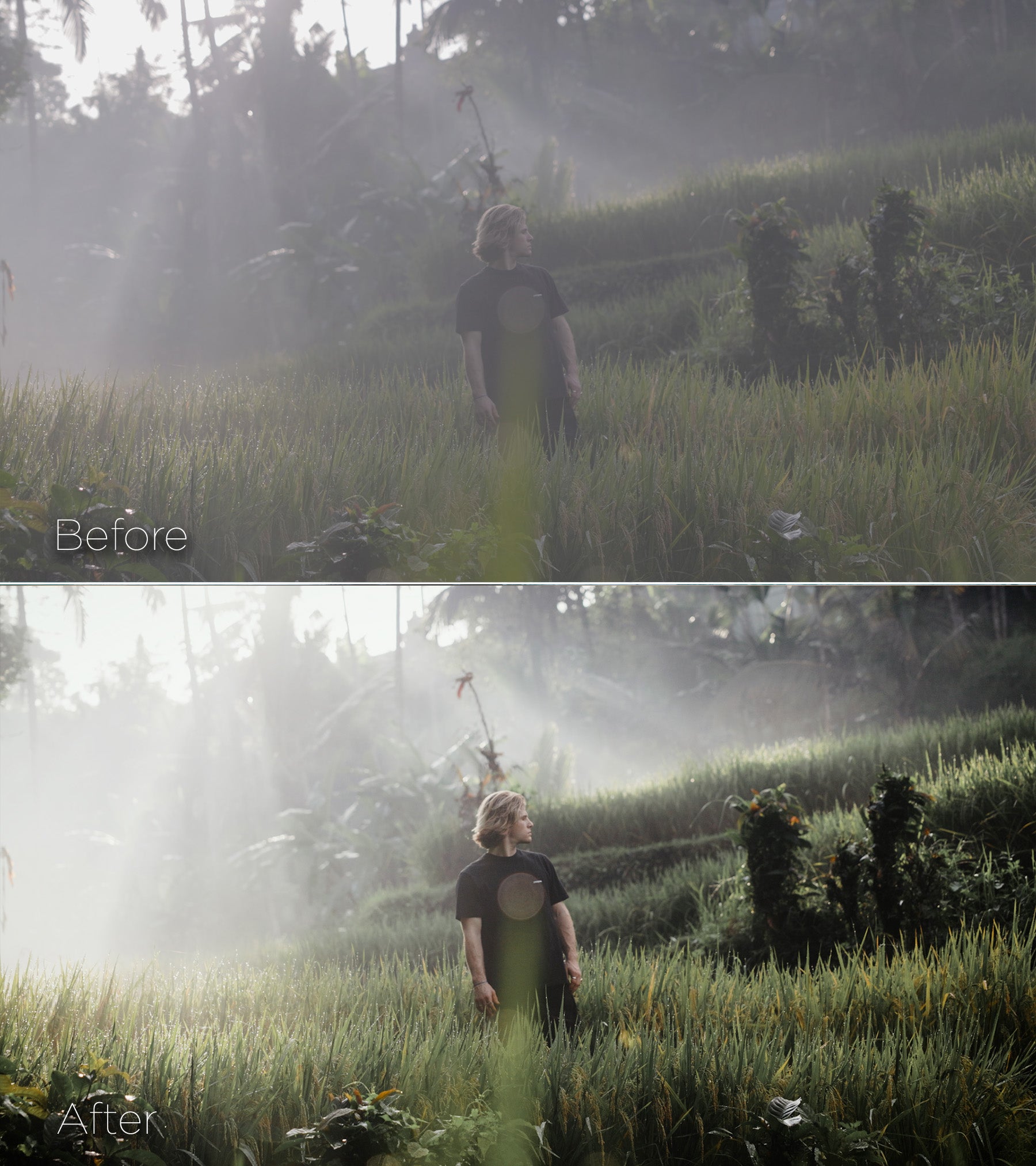 66组电影级视频调色LUTs预设 Cinematic Video LUTs By Watzac 66组电影级视频调色LUTs预设 Cinematic Video LUTs By Watzac