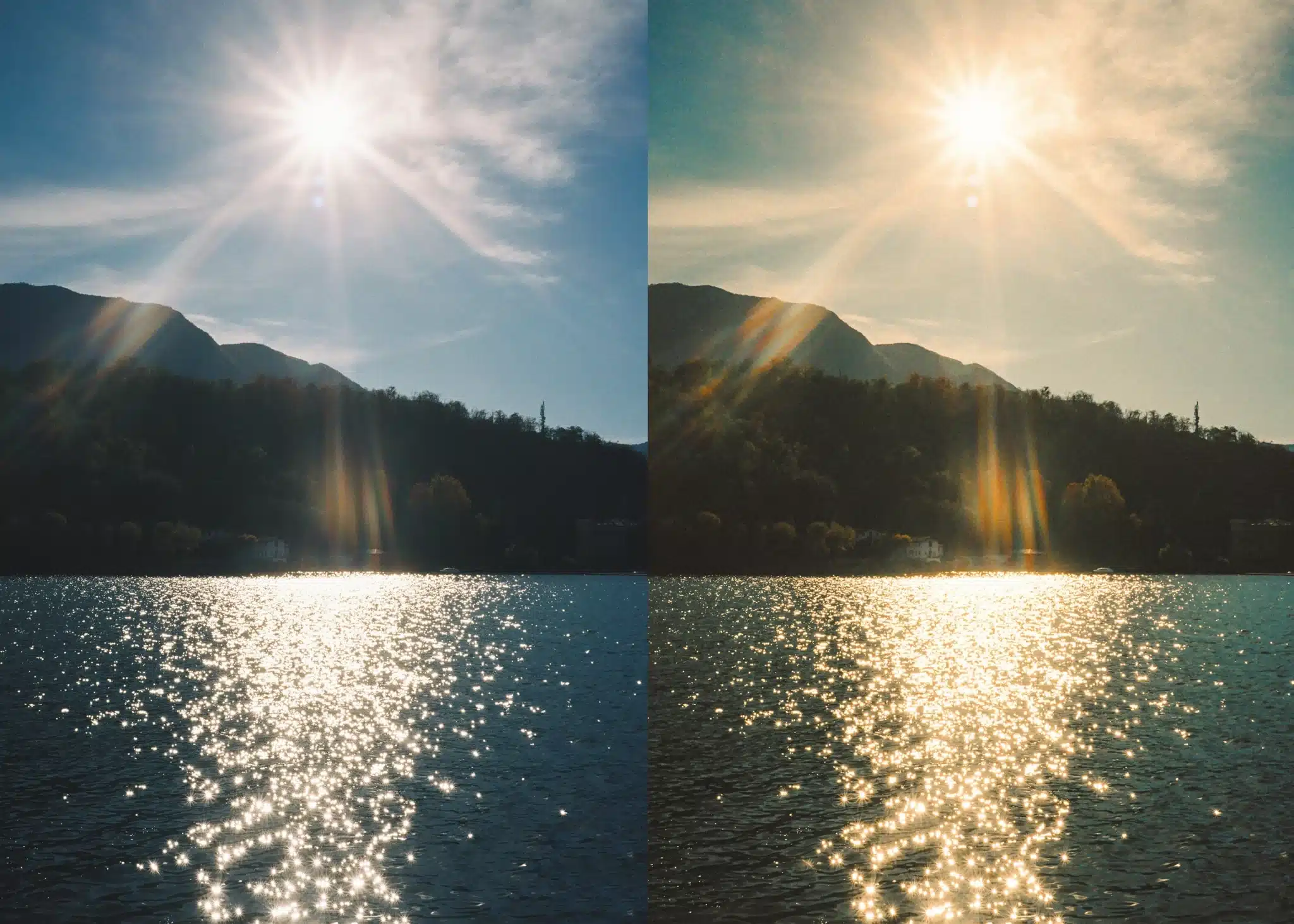 真实电影胶片质感LUTs调色预设包 Preset Curator – Film Emulation LUTs and Power Grades Pack 3a56c49a-78c5-43cd-91f2-be0fabab089a.webp