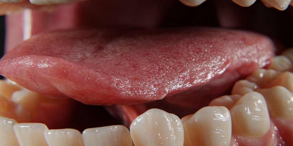 Blender/八猴超写实人类牙龈口腔绑定游戏3D模型 Ultra-Realistic Gum – 8K Pbr image_processing20260213-2-2zs330.jpg