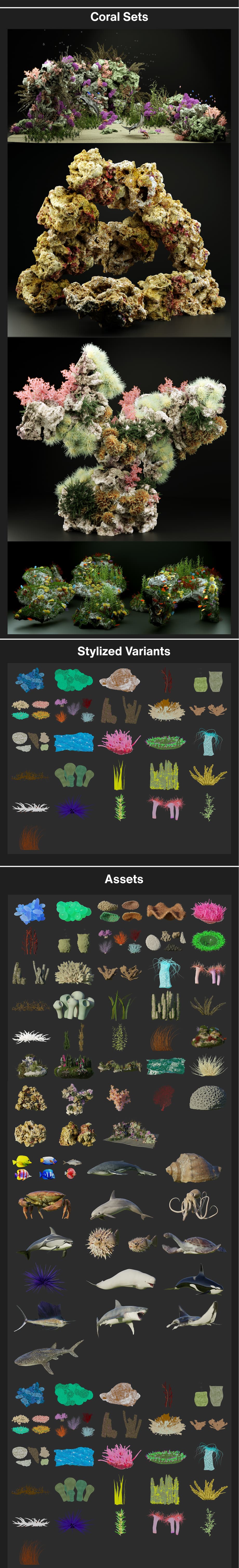 Blender插件|海洋珊瑚植物和动物模型预设 The Coral & Creatures Collection v1.0