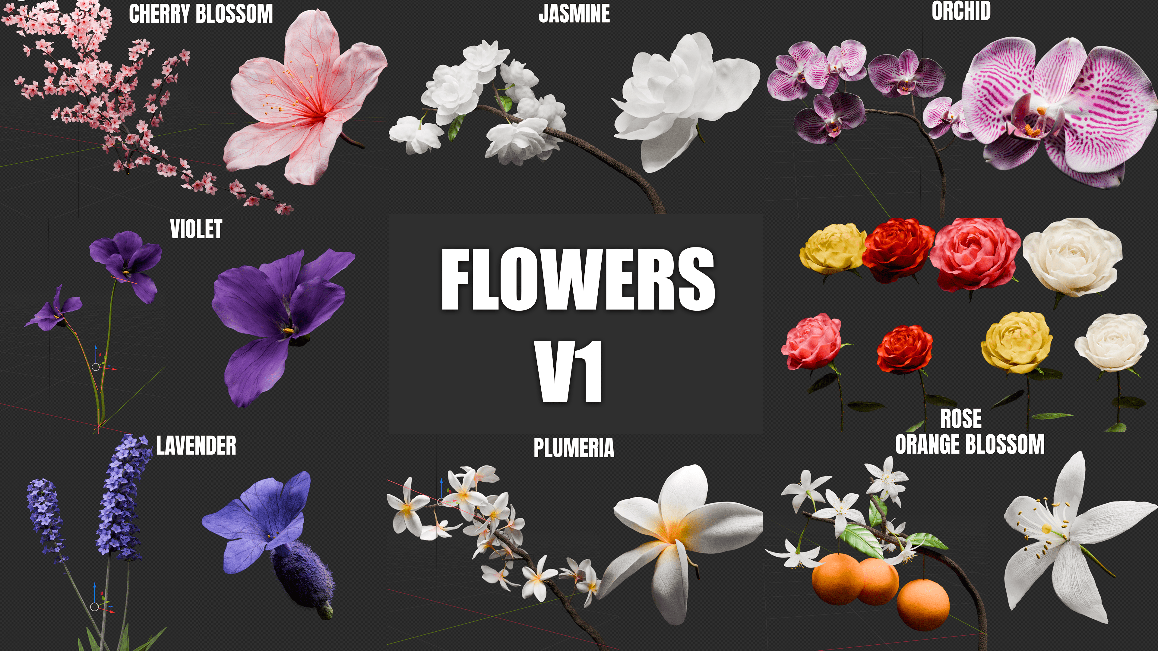 Flowersv1-min.png