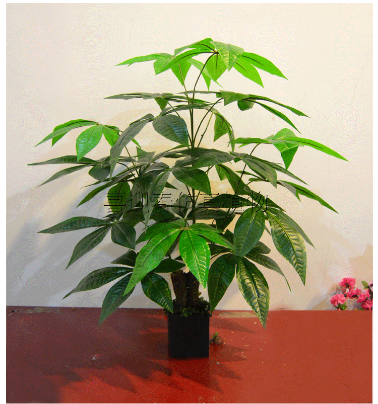Đặc biệt cung cấp mô phỏng cây may mắn mô phỏng cây giả cây xanh cây sàn phòng khách lớn tài sản cây trang trí hoa lụa - Hoa nhân tạo / Cây / Trái cây cây giả đẹp