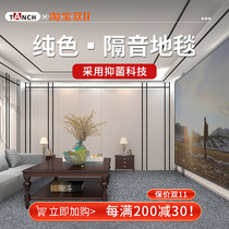 Sound-absorbing carpets full of home piano drums audio-visual studio live sound-proof thickened floor mats custom size