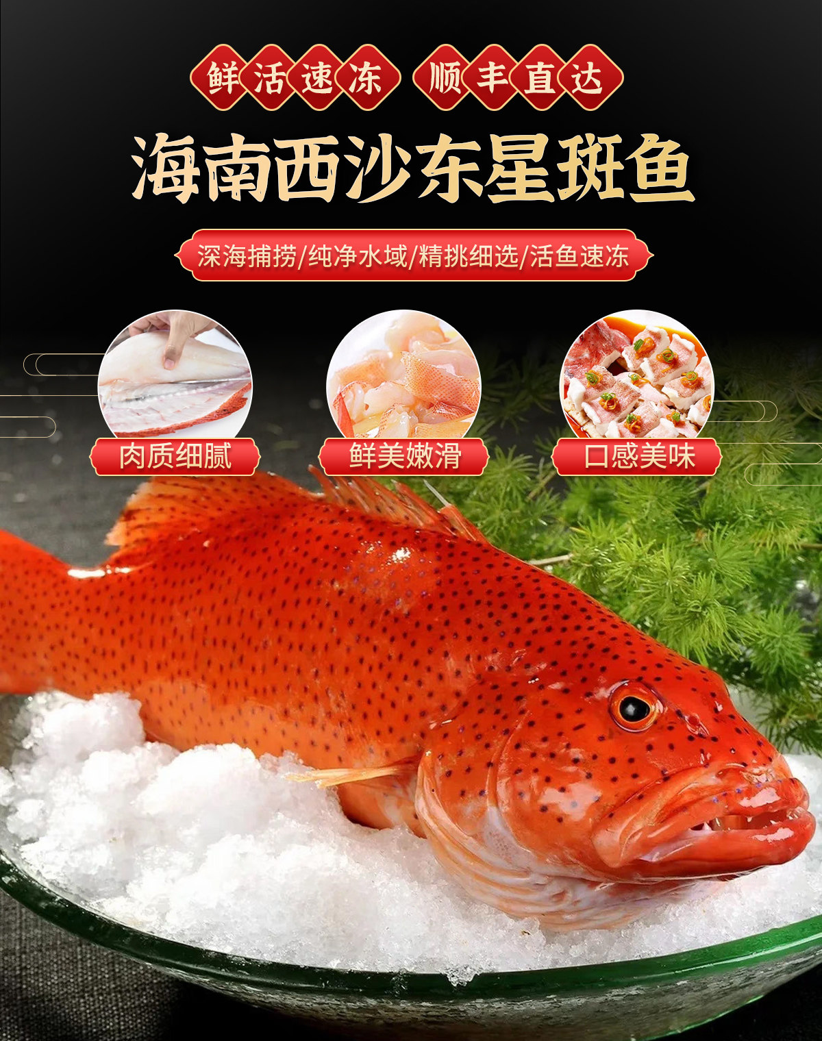 海南三沙老渔民海产品店的LOGO