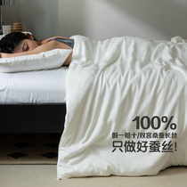 Luxurious Great Jacquard Genuine Pint Double Palace Mulberry Silk Filament Quilt Quilt Core Summer Cold Quilted By the Autumn and Winter Thickened Winter Quilt by Air Conditioning