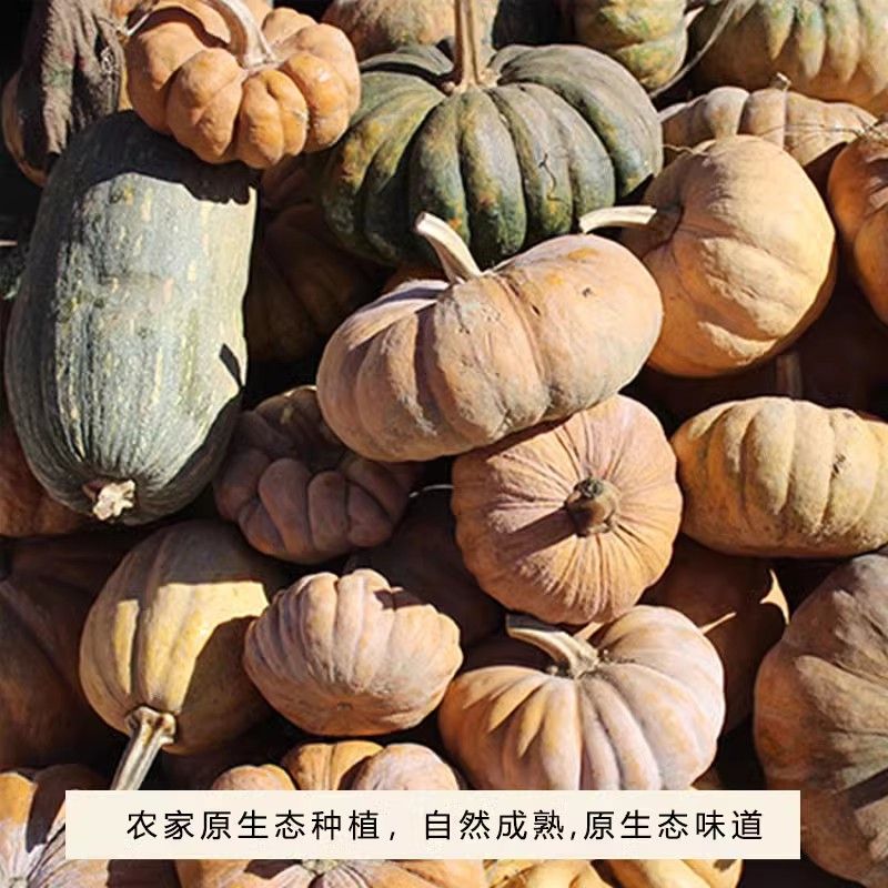淘宝新店翻身记！新手店主如何逆袭成百万月销王者？揭秘成功秘籍