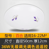36W Lily Led Wuji Light -50см