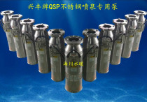 Xingfeng Card QSP Stainless Steel Fountain Special Pumps Fake Mountain 380V Landscape Engineering Water Pump Submersible Pump Manufacturer Direct