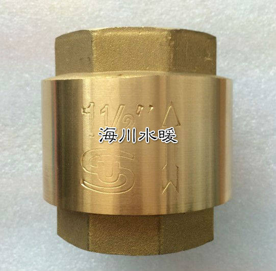 4 points 6 points 1 inch 1 2 inches 1 5 inch 2 inch copper spring vertical check valve water stop valve water pump valve