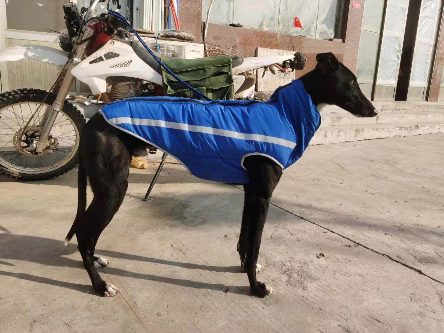 Gree Dog Clothes Greyhound Whippet Clothes Plus Velvet Warm Dog Cotton Clothes Cotton Clothes Zipper Cotton Clothes