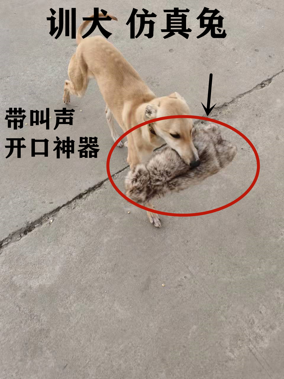 Dog training dog artifact simulation rabbit toy training dog fake prey PP whistle rabbit skin training Greige Hui fine dog artifact