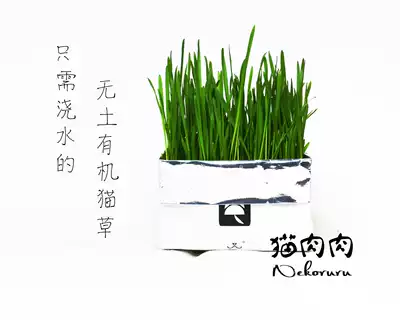 Cat meat meat without card Vetreska Soil-free Cat Grass Organic Lazy Cat Grass Cat Fur 80G