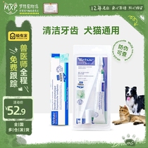 French VIC C E T complex enzyme toothbrush toothpaste set cat and dog universal dental care cleaning tartar stones