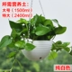 Pure White [Pot+Net+Plugs+Chain]