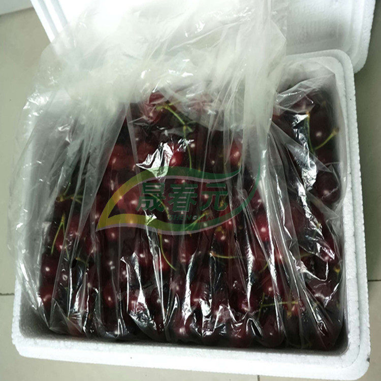 Cherry With Physical Active Refreshing Bag Fruit Big Cherry Air Conditioning Bag Packing Bag Film Bag 3 catty
