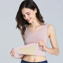 Werder velvet silk patch heating base warm vest Lady base shirt plus velvet thick thin velvet autumn and winter