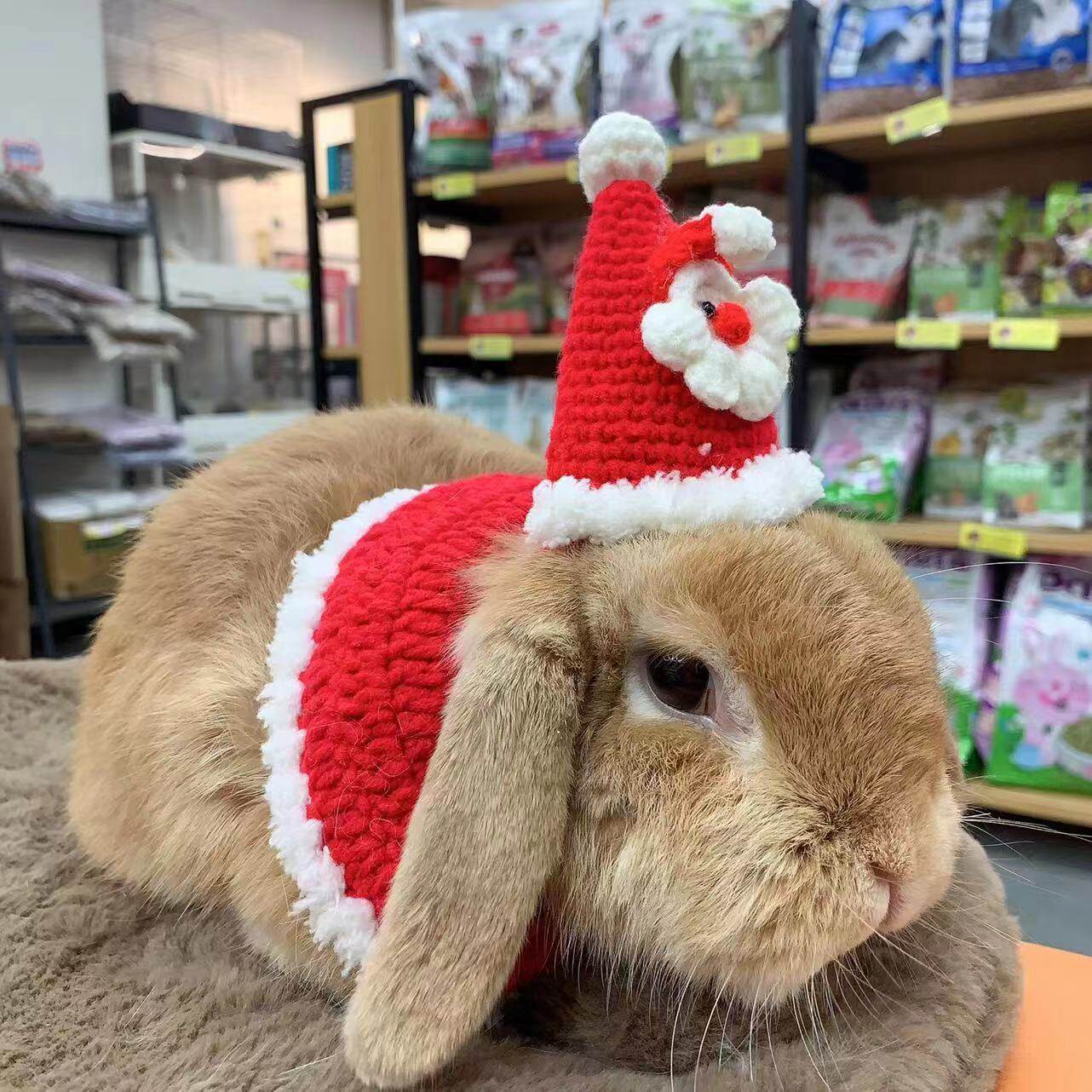 🎁宠物兔必备过冬神器!【兔子林】宠物兔保暖羊羔绒帽🎄-兔兔服饰-淘宝好物网