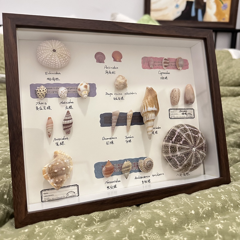 Hainan Souvenir Original Design Hollow Shell Photo Frame 10inch