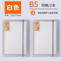 (Белый+белый) B5 Grid (2 книги)