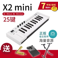 X2mini (25 клавиша)+фортепианная рама