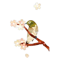Japanese JOCKOMO Sakura Tree Bird Guitar Guard Sticker Electric Wood Folk Bass Body DIY Decorative Film