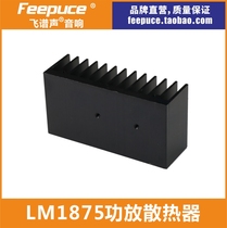 LM1875 Radiators Flying Spectrum Sound Fever Power Amplifiers Special Aluminum Alloy Hifi Sound Accessories DIY
