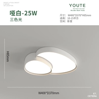 40 см. Диаметр -phite -Three -color Light (спальня свет 10-15 квадратных рекомендаций и использования)