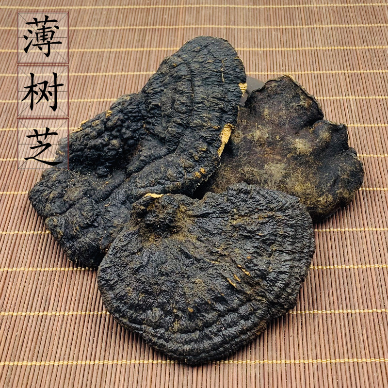 (100g) Bo Shu Zhi, Bo Shu Ling Zhi, Ganoderma lucidum, Cantonese soup ingredients Bo Shu Zhi 2 pieces