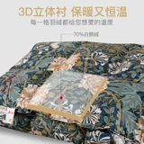 南方寝饰 Вниз утолщен бархатом белого гуся, а тепло зима, а зима и осень тщательно в основной технологии зимнего графена