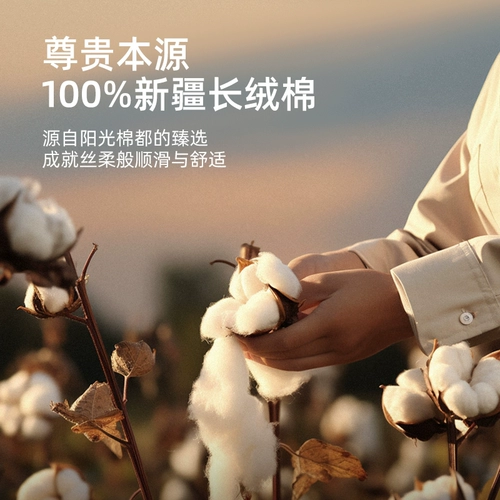 南方寝饰 Весной и летний кровати класса A Pure Cotton 100 All-Cotton четыре сезона Universal Deade Sleep Super Spect Skinly Kit