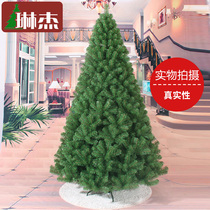 Linjie 1 8m Household Christmas TREE 210CM Encrypted Green CHRISTMAS TREE Christmas Decorations Christmas Tree Package