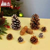 Рождественские украшения сосны фрукты журнал истинные фрукты декоративные декоративные сосновые башня