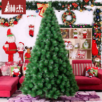 Linger 3 m 300CM encrypted pine needle Christmas tree Christmas decorations Large decorative Christmas tree