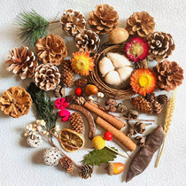 Rinjesson Fruit Wood Pieces Leaves Dried Flowers Dried Fruits Combined Christmas Handmade Diy Decoration Small Pendulum PHOTO props