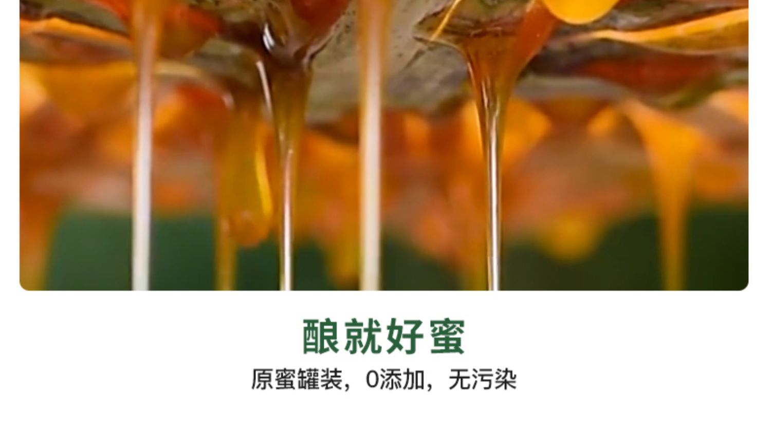 【鲍记】正宗野生土蜂蜜500g