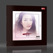 đầu đĩa than yamaha Sốt chính hãng Tianyi thu âm Sun Lu Một cú chạm chấn thương Máy hát vinyl 12 inch LP đĩa số đầu đĩa - Máy hát đầu đĩa than