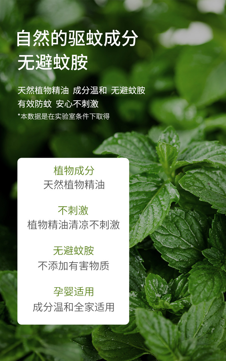 Mosquito Ding Ding Spray Details_03.jpg