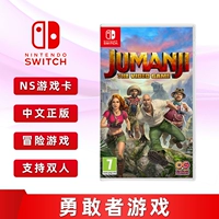 Speat New Cilline Invuine Switch Adventure Game Brave Game Game Game Card Jumanji Храбрый игра поддержки двойной