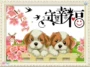 In cross stitch động vật nhỏ xem hạnh phúc dây thép gai thêu hai con chó 2018 phòng ngủ trẻ em mới - Công cụ & phụ kiện Cross-stitch kim thêu tranh chữ thập