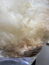 Natural wild Tai Sui meat Ganoderma lucidum pruned stone Tai Sui