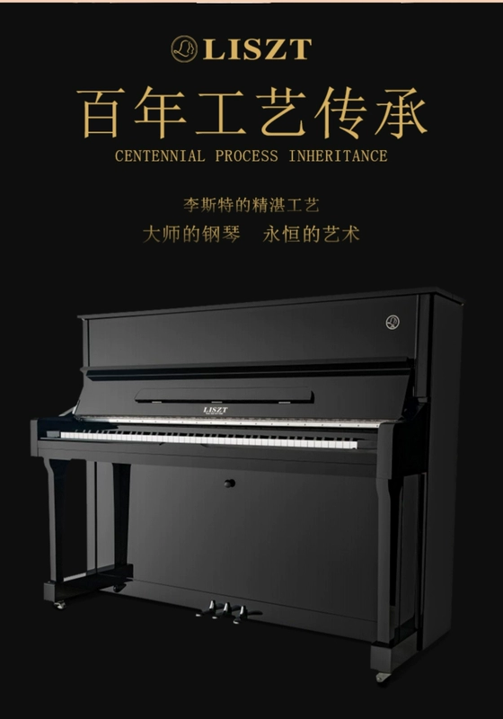 Tiếng Đức Liszt mới đàn piano thẳng đứng Trang chủ mới bắt đầu phân loại người lớn chuyên nghiệp chơi thép thật T121 - dương cầm