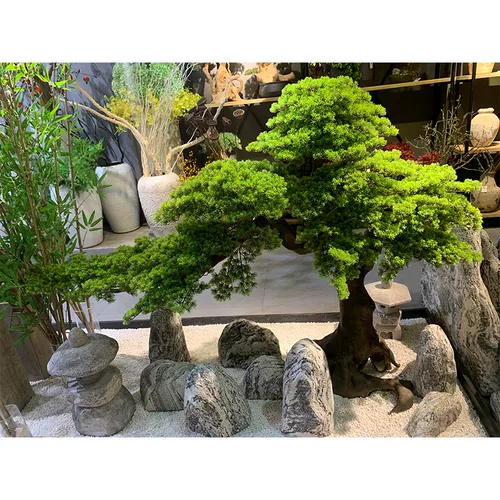 Высокое моделирование по индивидуальному моделированию Добро пожаловать в кедр