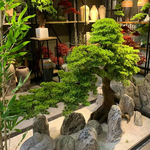 Высокое моделирование по индивидуальному моделированию Добро пожаловать в кедр